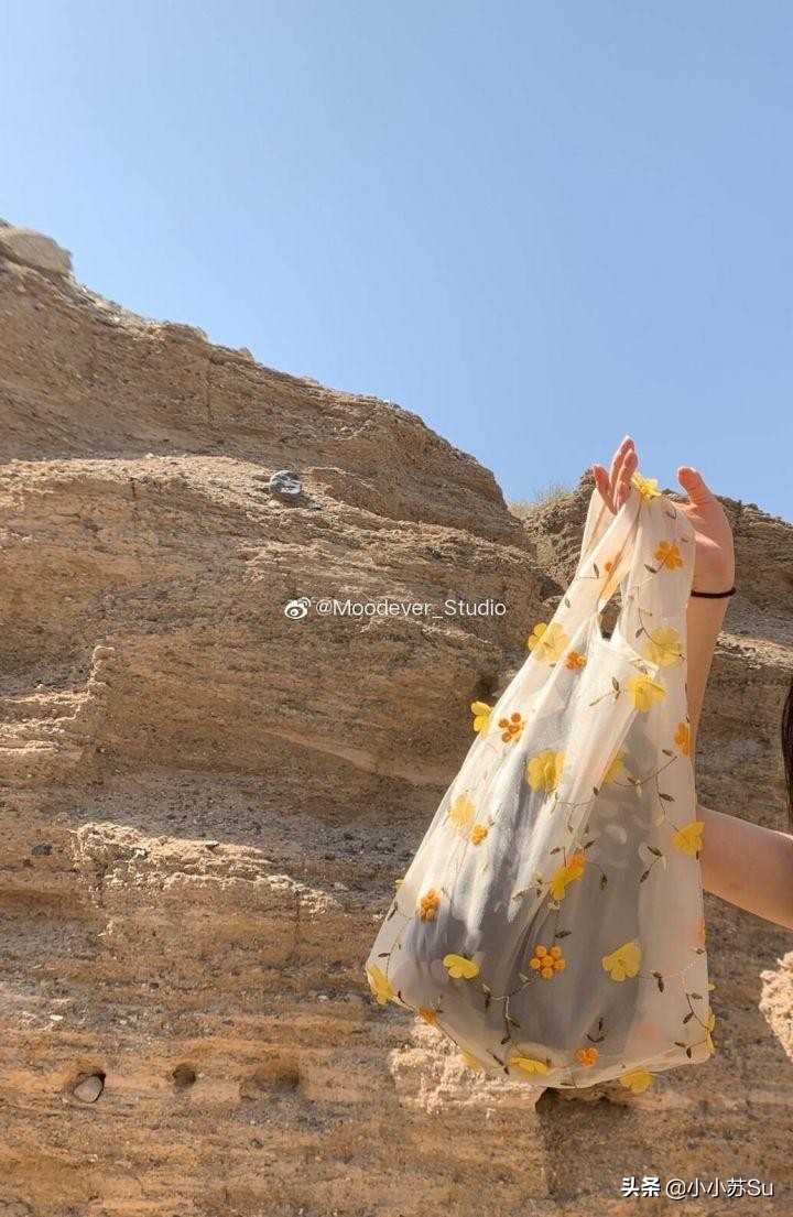 推荐几家好看又平价的帆布包,推荐好看实用帆布包便宜又好