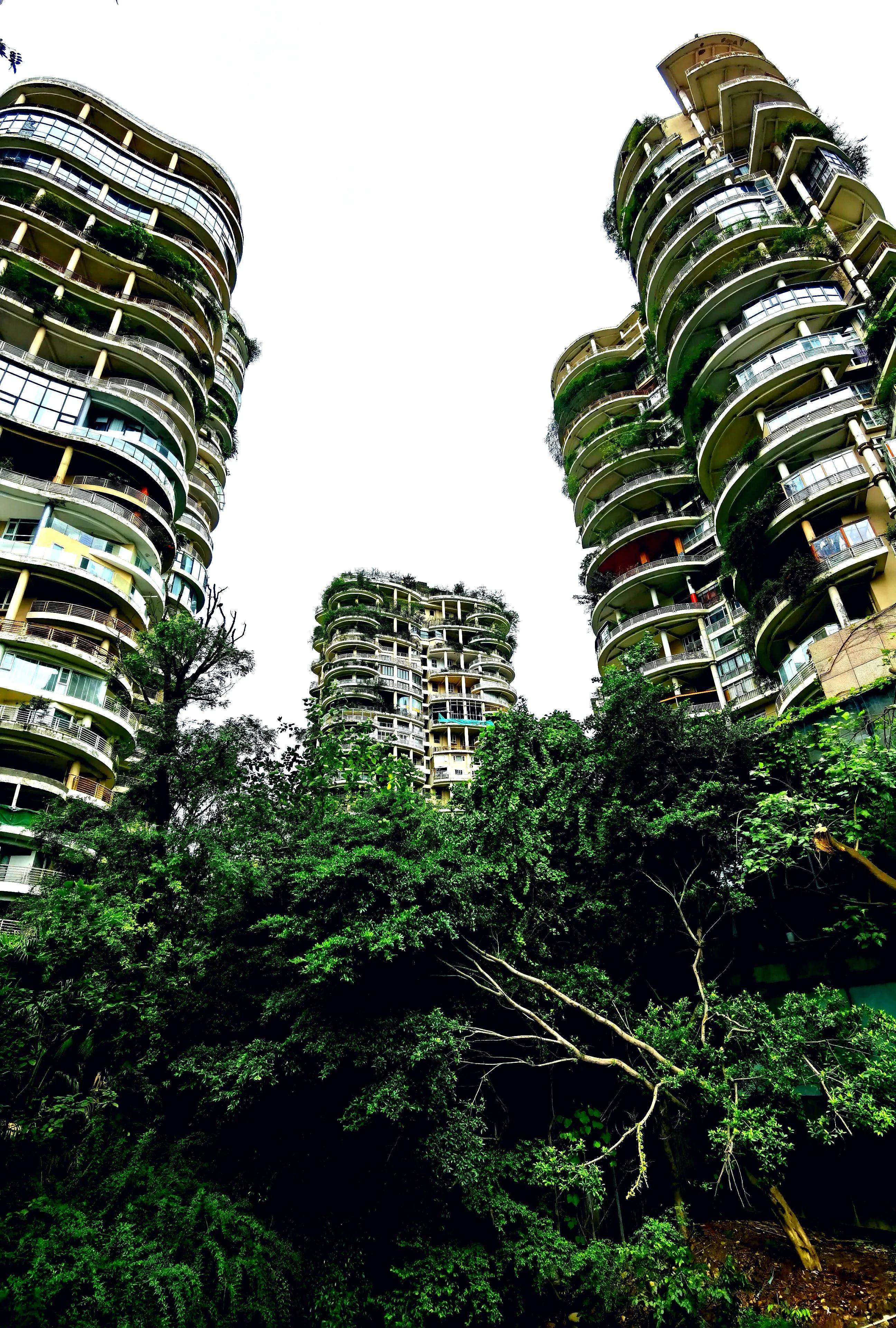 世纪城天鹅湖花园,世纪城天鹅湖别墅公寓