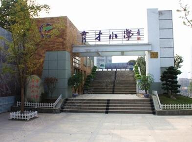 重庆最好十大小学,重庆十大好小学