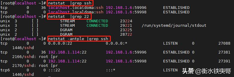centos8系统可做哪些应用,centos8重启网络服务命令