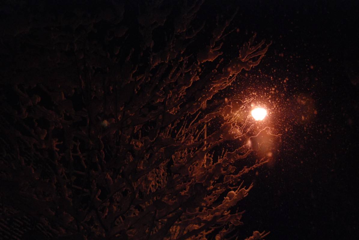 寒风吹彻选自哪本书,刘亮程经典作品寒风