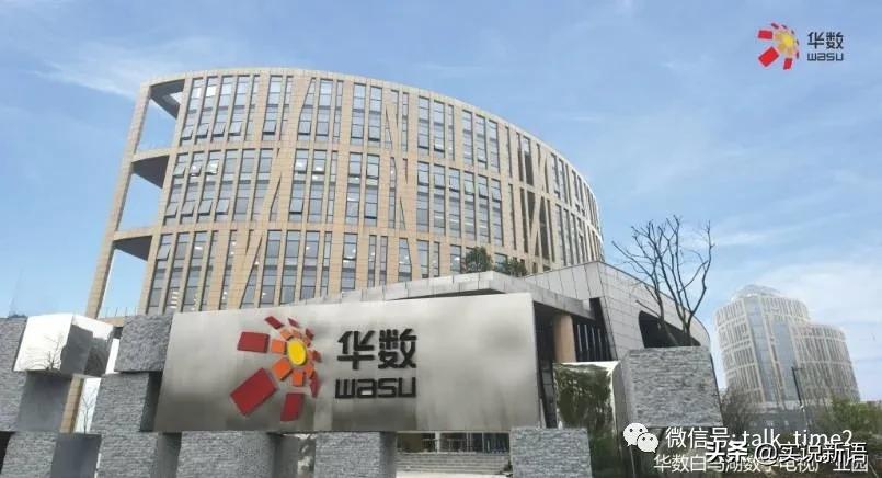 广电网络亏损最多的是哪个公司,中国广电亏损