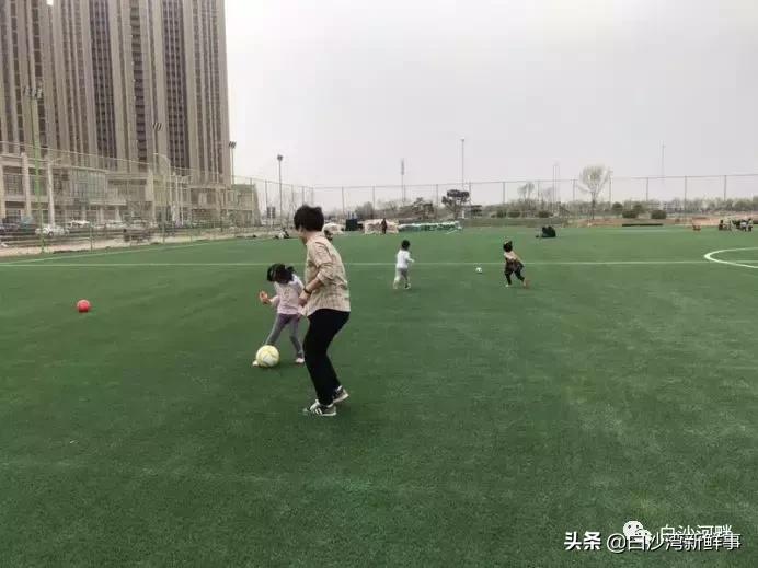 城阳白沙湾足球基地,白沙湾足球基地效果图