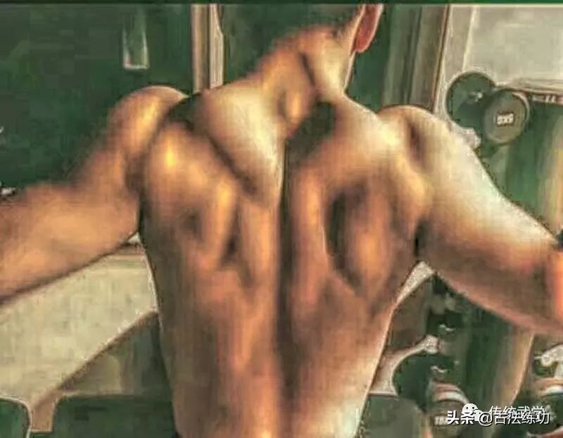 论武功歌词,论武汉的地铁到底有多挤