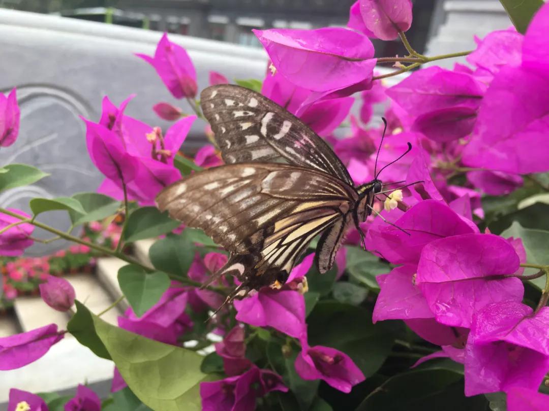青龙峡风景区秋景,欣赏青龙湖美景