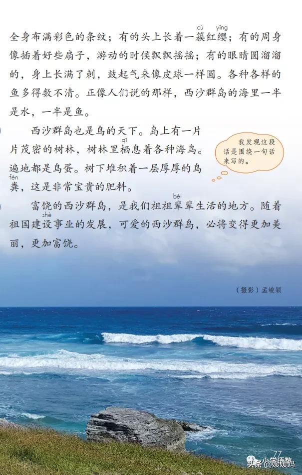 三年级第18课富饶的西沙群岛预习,3年级语文第18课富饶的西沙群岛