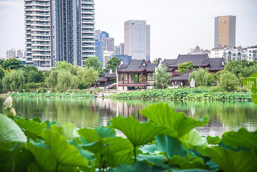 武汉11月打卡景点和网红地,武汉50个值得打卡的地方