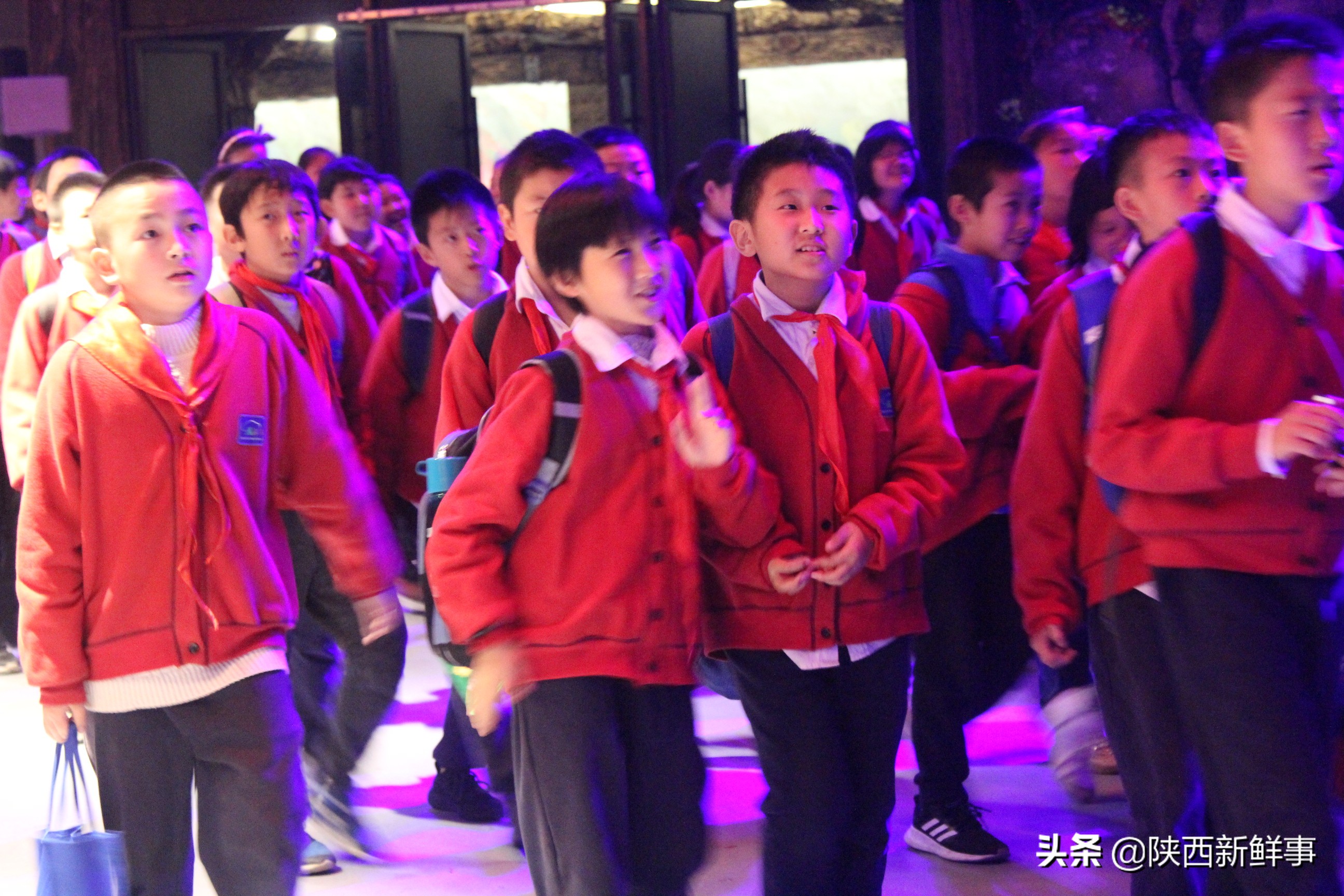 放飞海洋梦想感受丝绸传奇观后感,放飞海洋梦想感受丝路传奇研学题