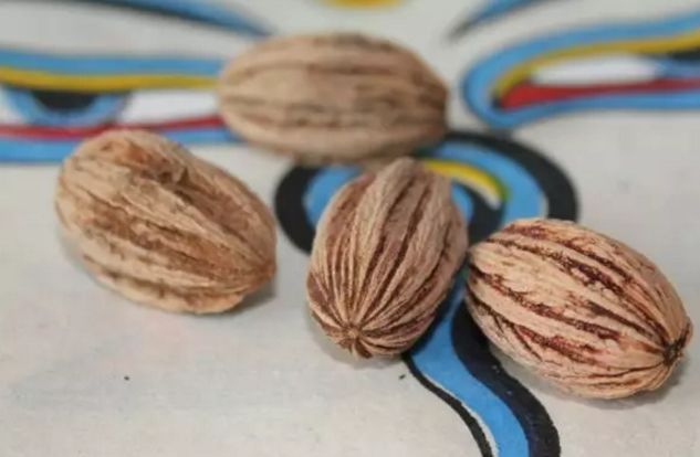 菩提手串大全图解,菩提手串的种类图解