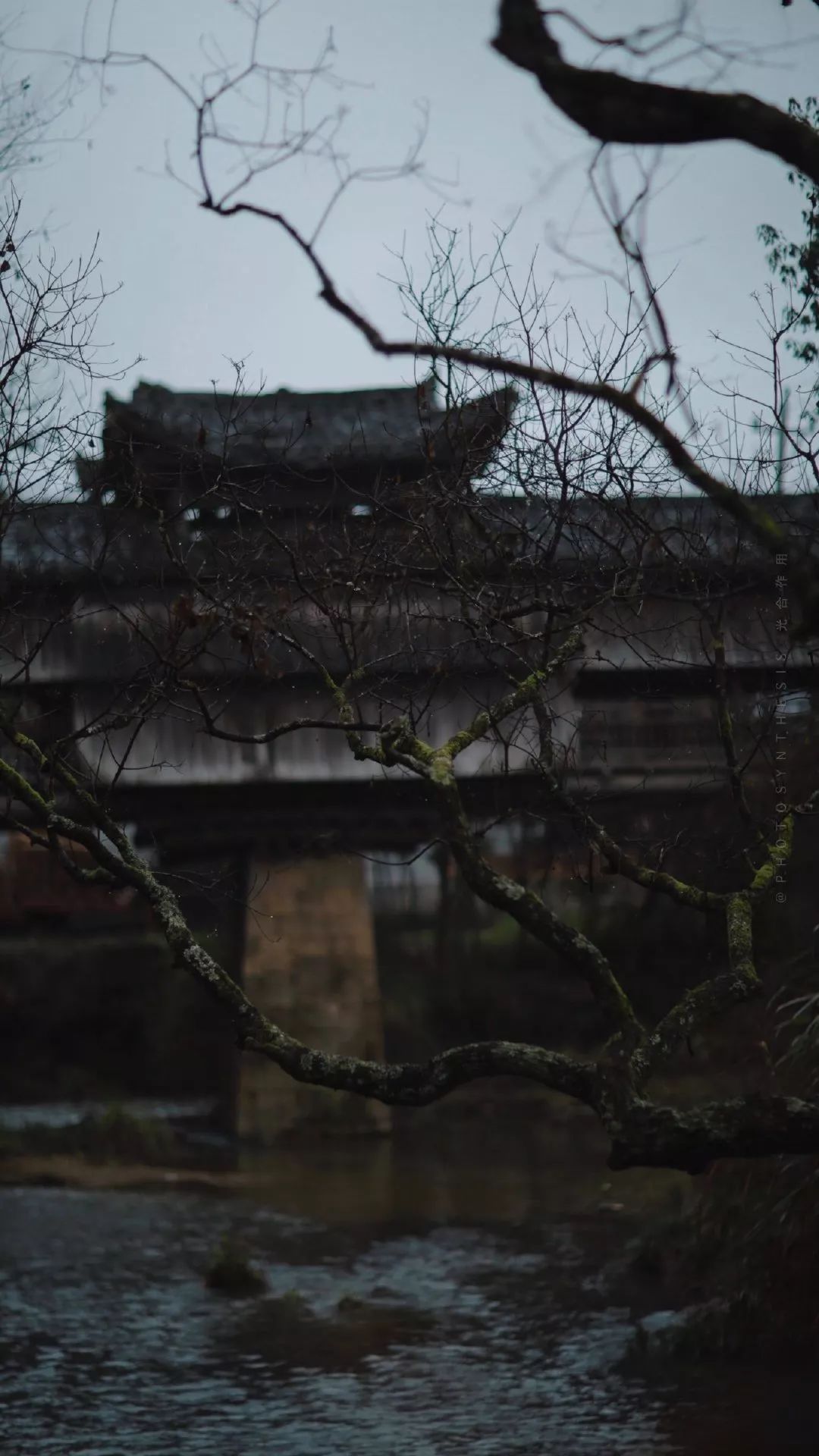 古代文人理想的诗句,古代文人雅士生活四艺