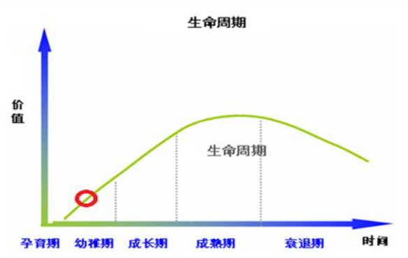 股票自上而下的选股过程,如何自上而下选股