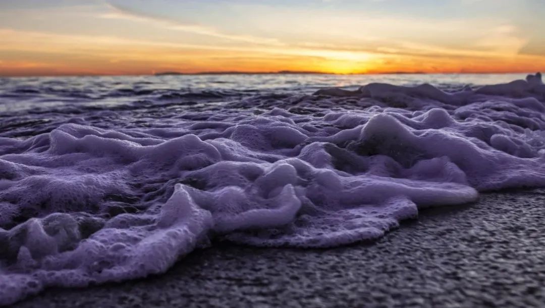 想要升职掌握哪些技巧,想要快速学习升职加薪的方法