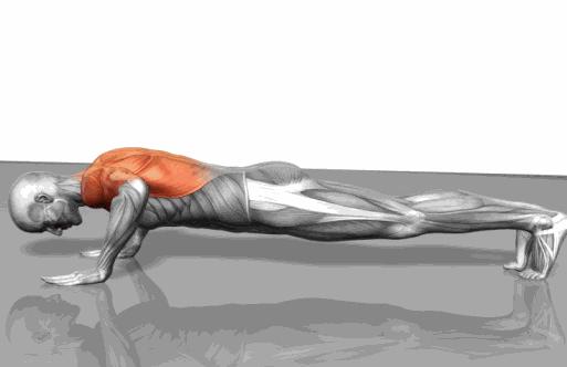 男士促睾的健身动作,男人如何增强力量