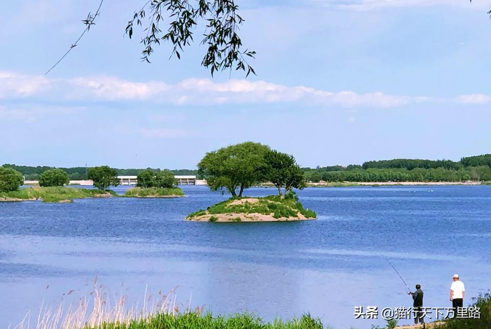 手机如何拍出好看的照片静物,如何拍出好看的朋友圈照片