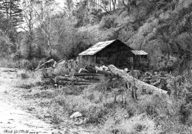 不会画就别学,不会画素描写生