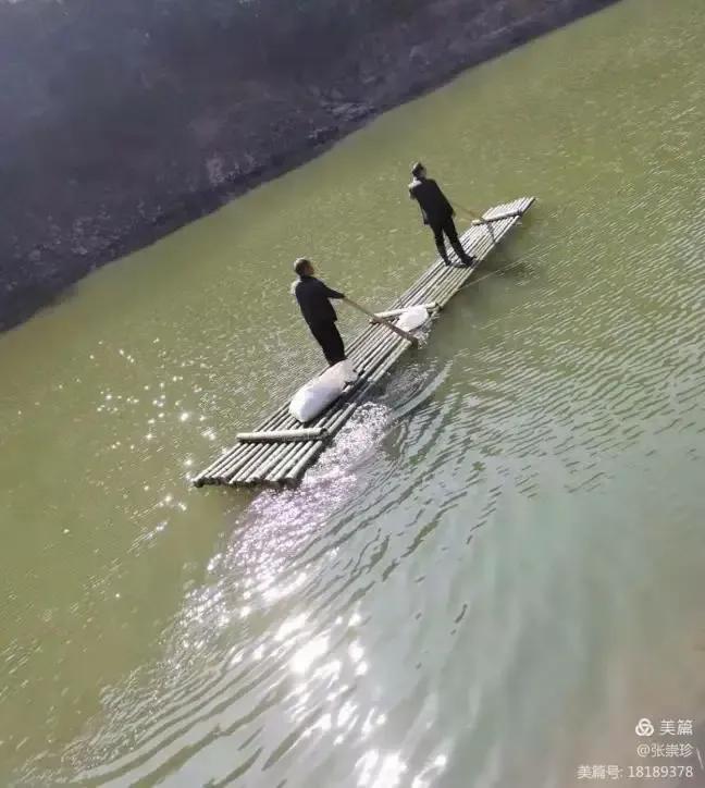 泰顺葛洋陶氏三兄弟修建的三条古道，等你来打卡～