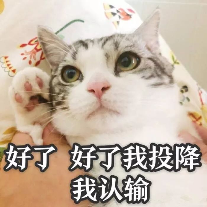 为什么都说江苏教育好,带你看看什么是江苏教育