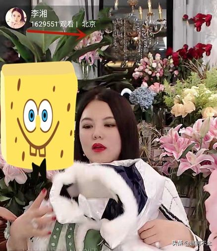 从于正到李佳琦，三心二意的明星干不过一心一意的网红