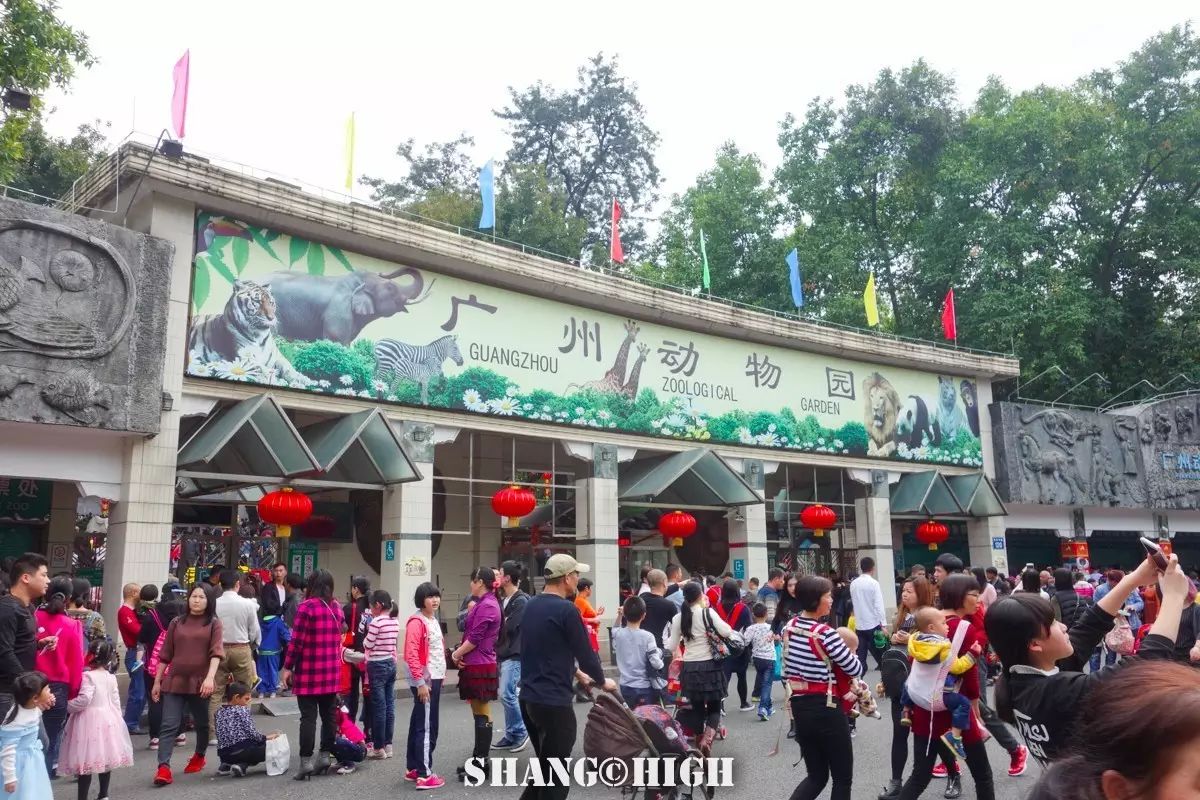 记者探访广州动物园,动物园观察动物