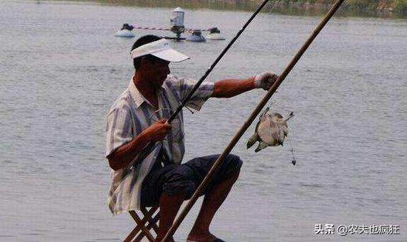 钓甲鱼方法和绝招水库钓甲鱼,钓甲鱼要几月份最好钓野生甲鱼