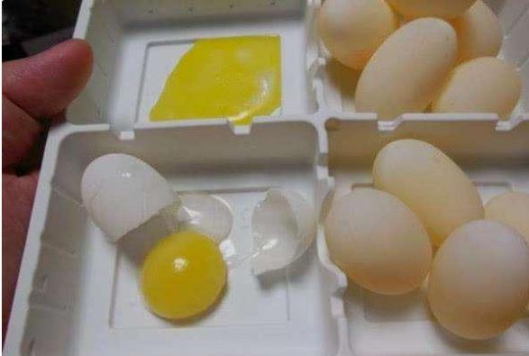 家里养的乌龟下蛋了结果给他吃了,家里乌龟下蛋了蛋应该怎么处理