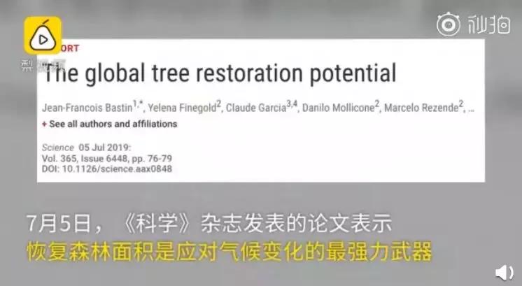 1116只鲨鱼被塑料缠住，不及余文乐发布一则视频引发的“痛感”