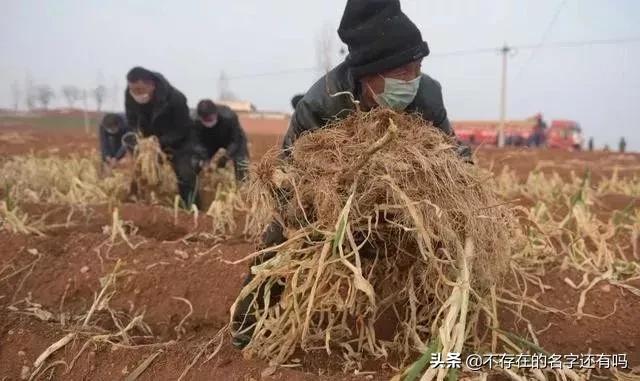 疫情期间你熬住了吗 (疫情期间你还熬得住吗)