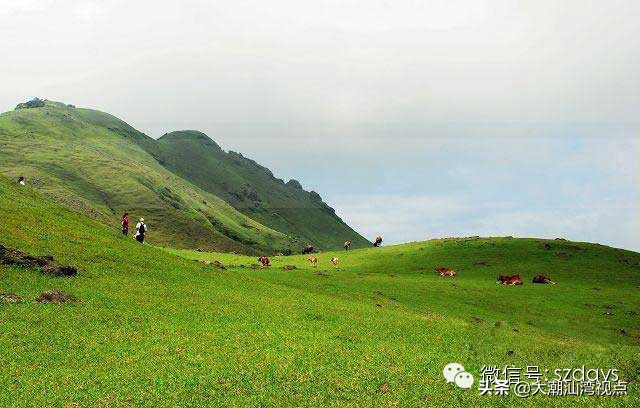 广东最美8个大草原,广东十大草原旅游地