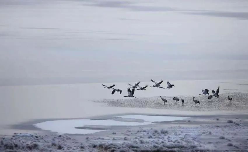 缇庡搲浜戝崡瑙嗛,缇庡搲浜戝崡鍓х収