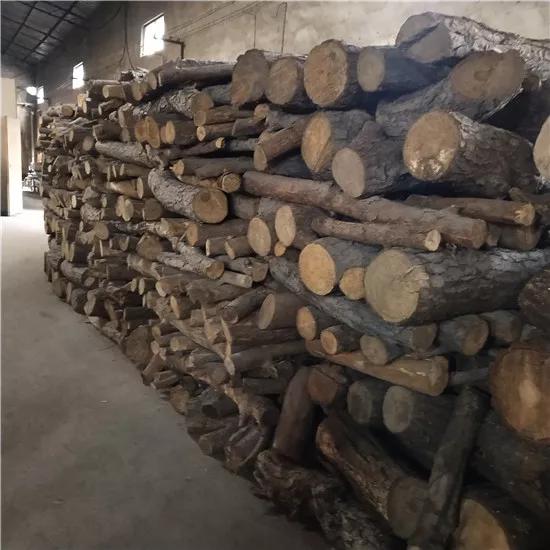 宜兴民间紫砂大师江小东：一壶“生命之源”的养身之道