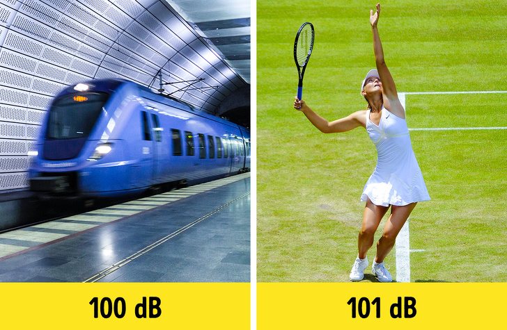 足球草坪为什么贵,为什么足球草坪有条纹