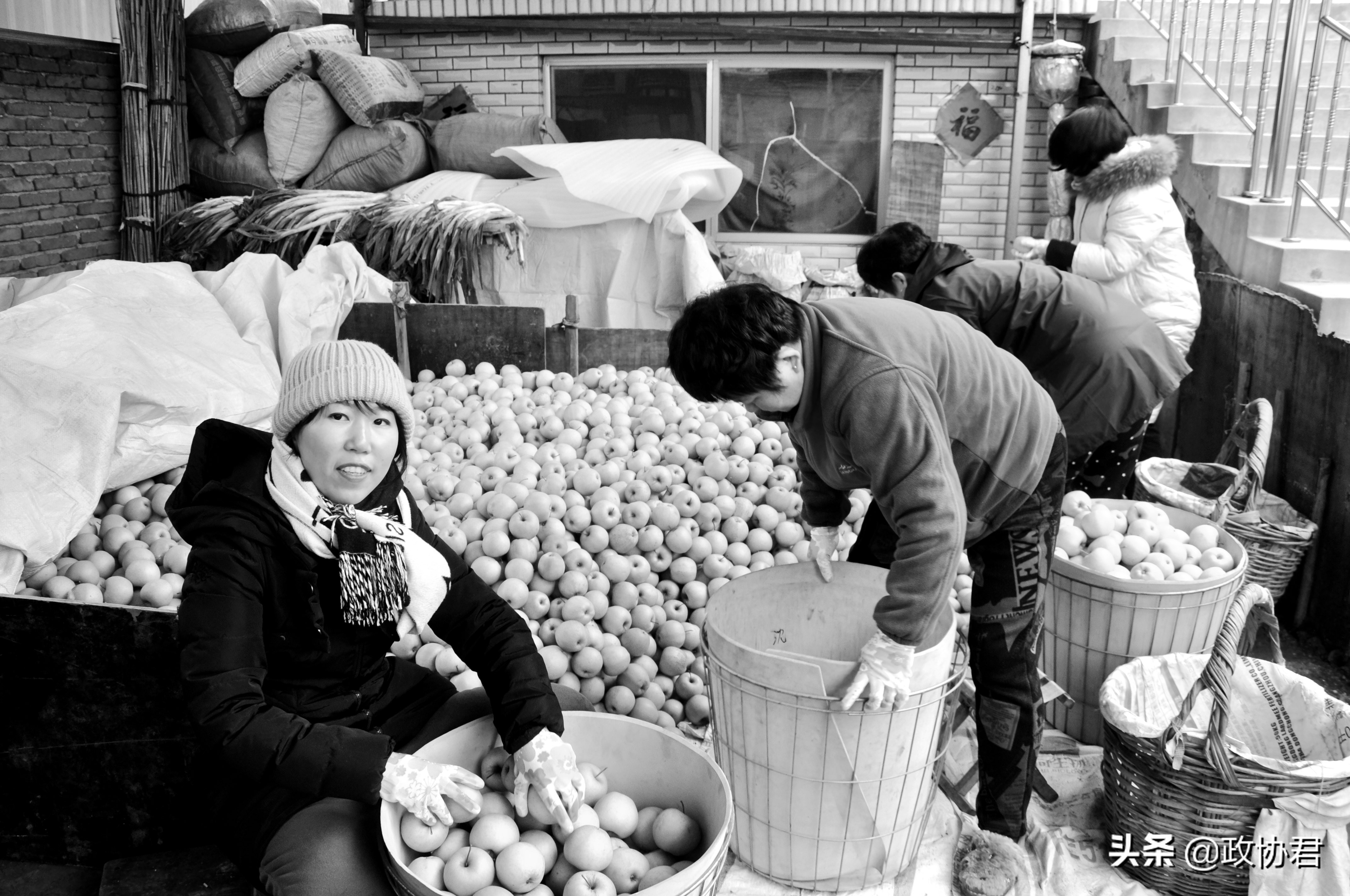 老乡说卖完苹果就买车——从农民收入、消费之变看城乡一体化