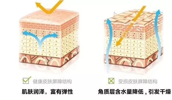 <html>
<head><title>502BadGateway</title></head>
<body>
<center><h1>502BadGateway</h1></center>
<hr><center>nginx</center>
</body>
</html>
<!--apaddingtodisableMSIEandChromefriendlyerrorpage-->
<!--apaddingtodisableMSIEandChromefriendlyerrorpage-->
<!--apaddingtodisableMSIEandChromefriendlyerrorpage-->
<!--apaddingtodisableMSIEandChromefriendlyerrorpage-->
<!--apaddingtodisableMSIEandChromefriendlyerrorpage-->
<!--apaddingtodisableMSIEandChromefriendlyerrorpage-->
