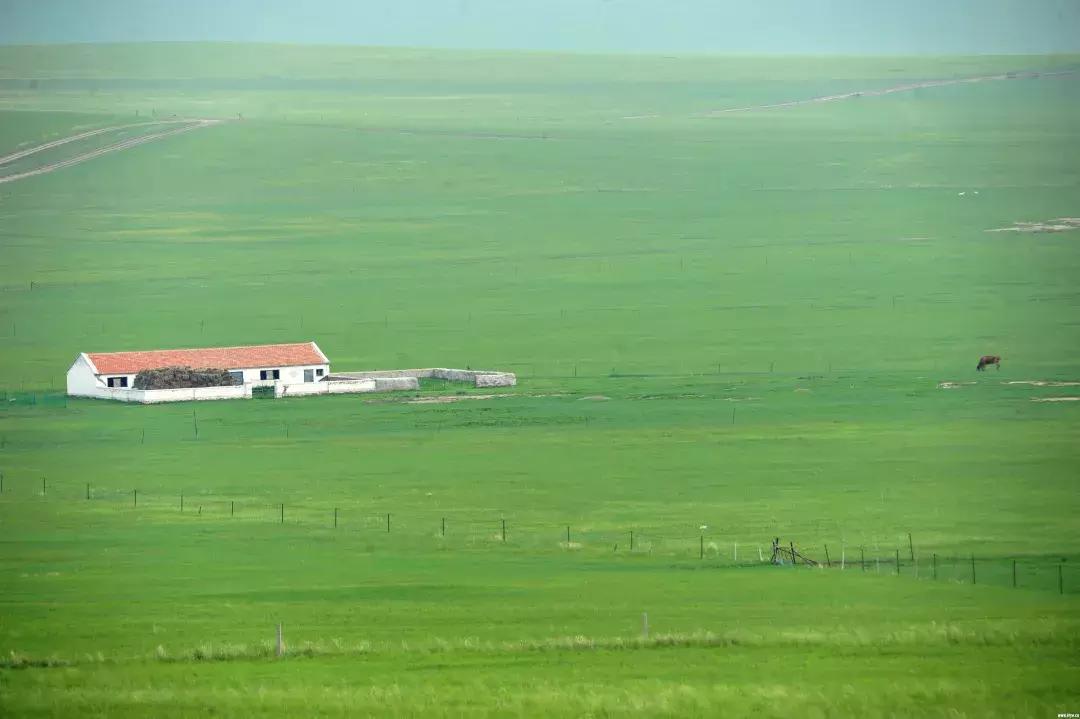 内蒙古乌拉盖地图,内蒙古乌拉盖位置