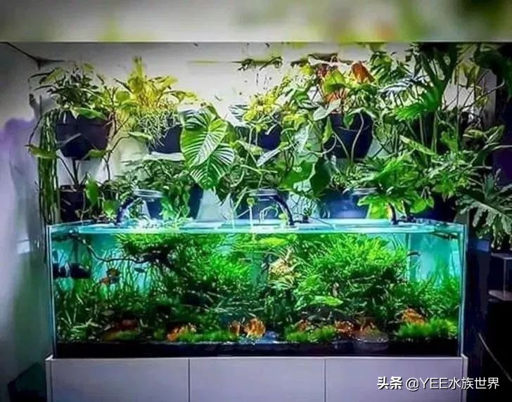 新买水泵不够用，吃亏后才懂的细节，终于弄明白了