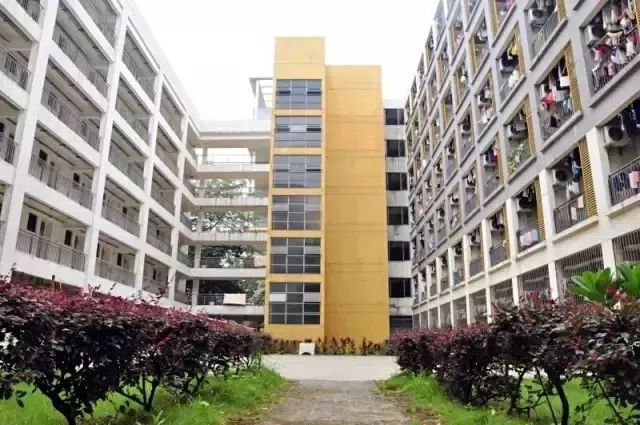 全国宿舍最好的大学宿舍图片,公办学校有哪些好宿舍