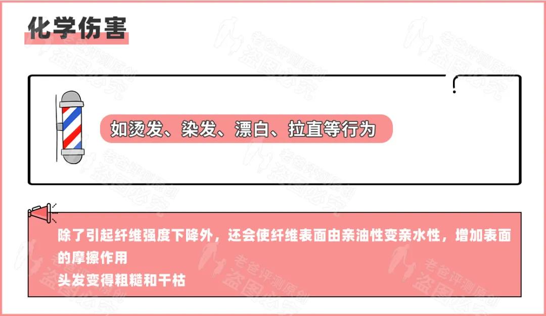 护发精油推荐测评且不伤头发,9款热门护发精油测评
