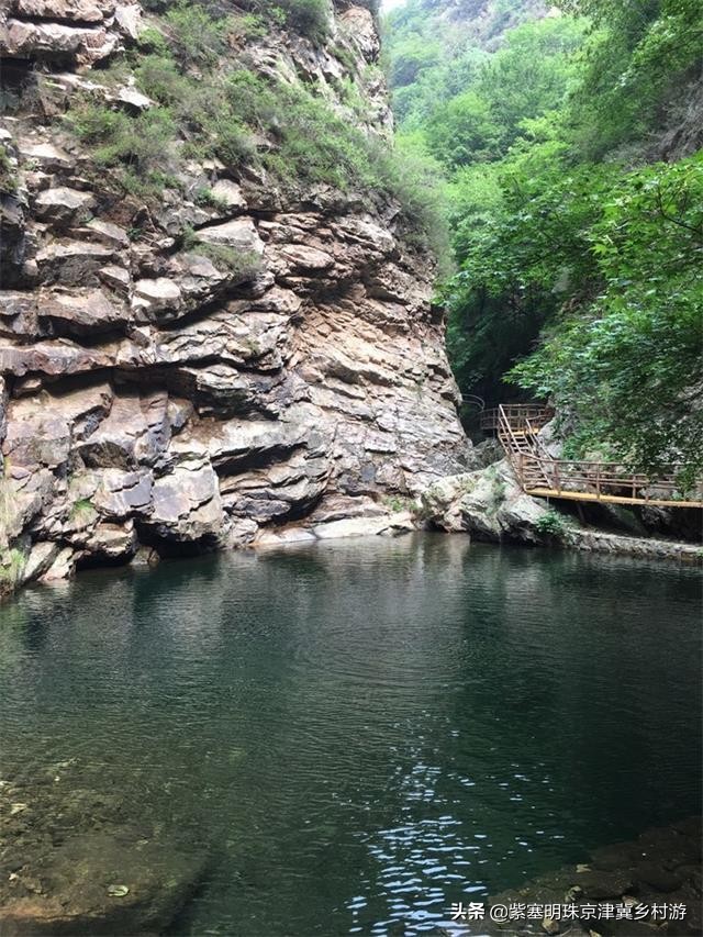 天津紫云水岸香草园在哪,天津市蓟州区紫云水岸草园