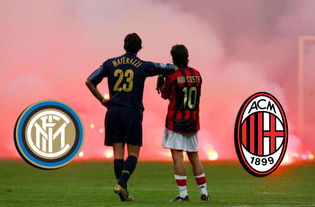 足球的情人节,足球狗的浪漫