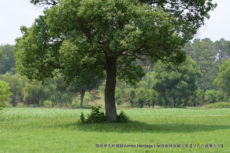 第3034回：无风雨不知花可惜，无患难不知人可谋