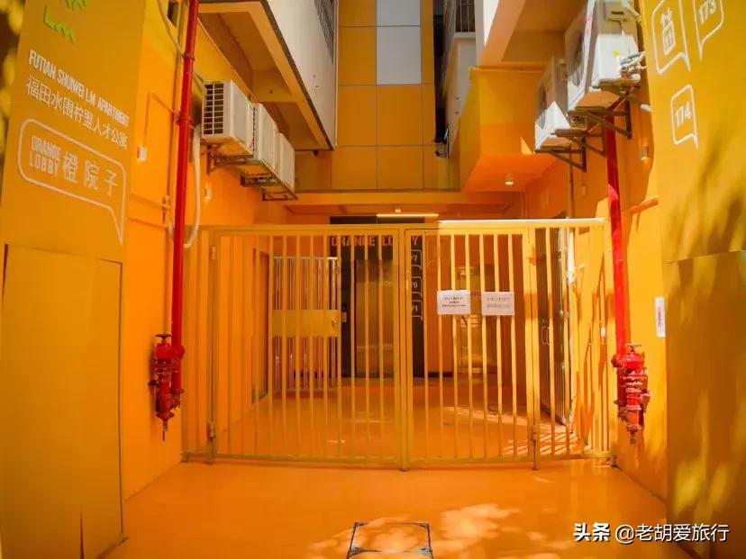 深圳周末春游好去处,深圳春游赏花去哪里好