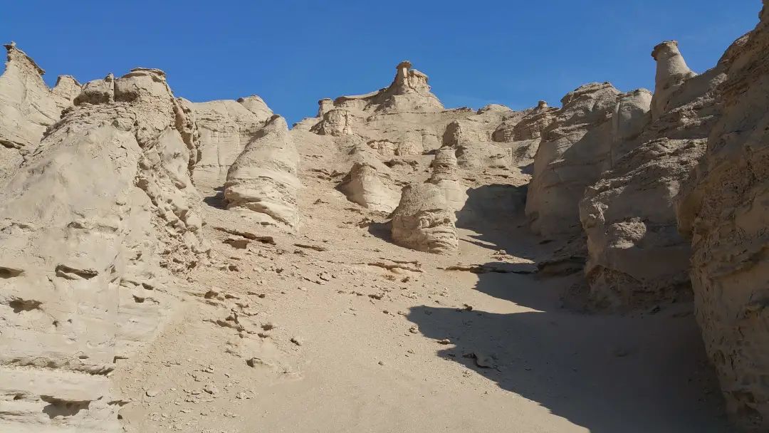 我国发现白垩纪恐龙,中国最先发现的恐龙新物种