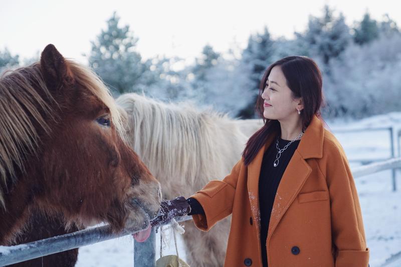 飘雪的季节,你要来一次冰岛(附冬季环游攻略)