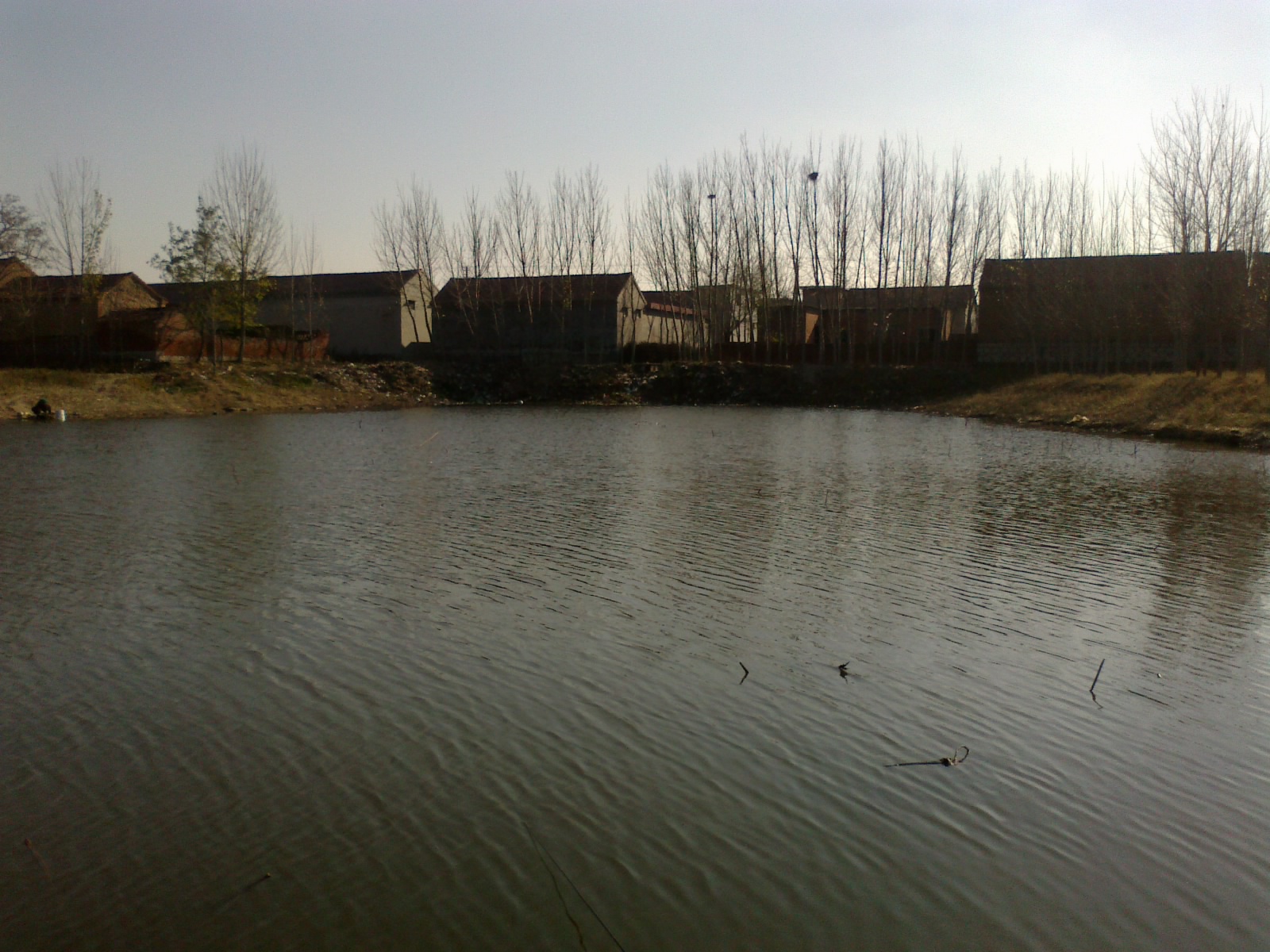 一位钓鱼人一般有几种饵料,钓鱼人的一生电影完整版