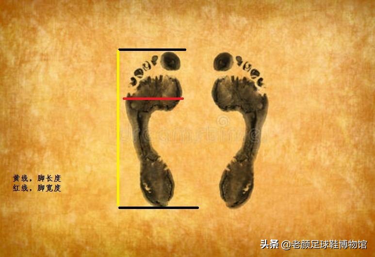 足球鞋网购店铺,足球鞋网购平台哪个好