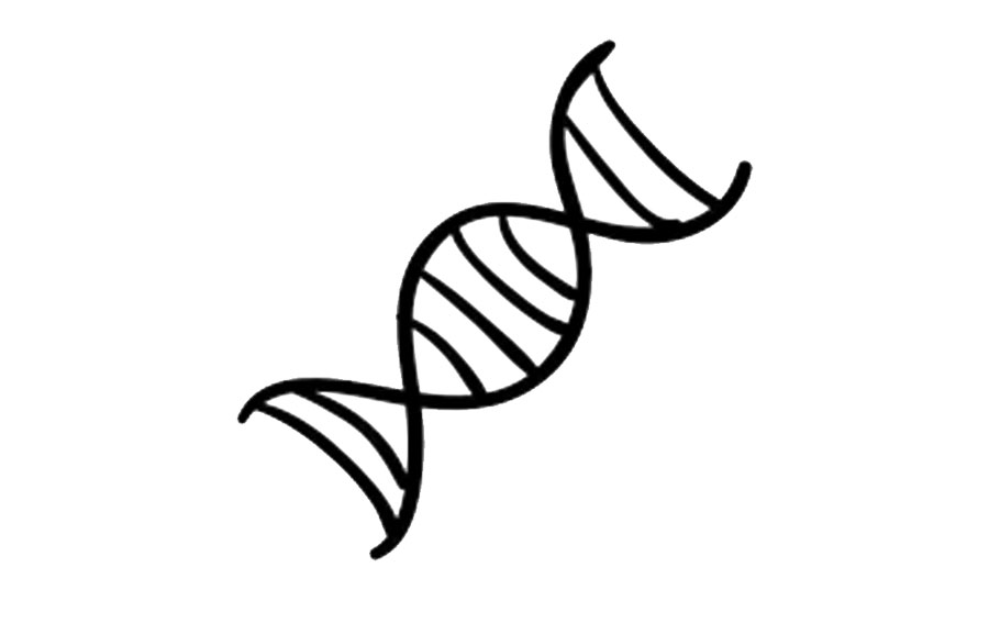 如果基因被破解会有什么后果,人类基因被破解的危害