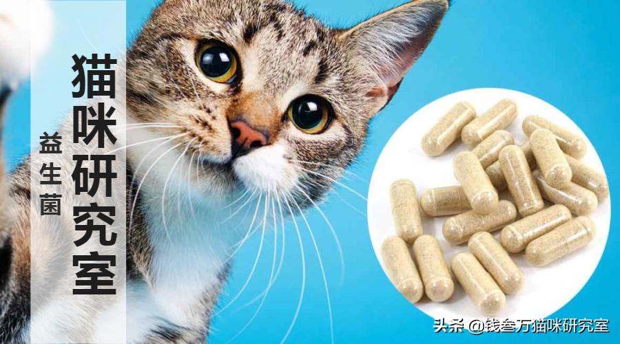 益生菌通便原理,怎么挑选适合软便吃的益生菌