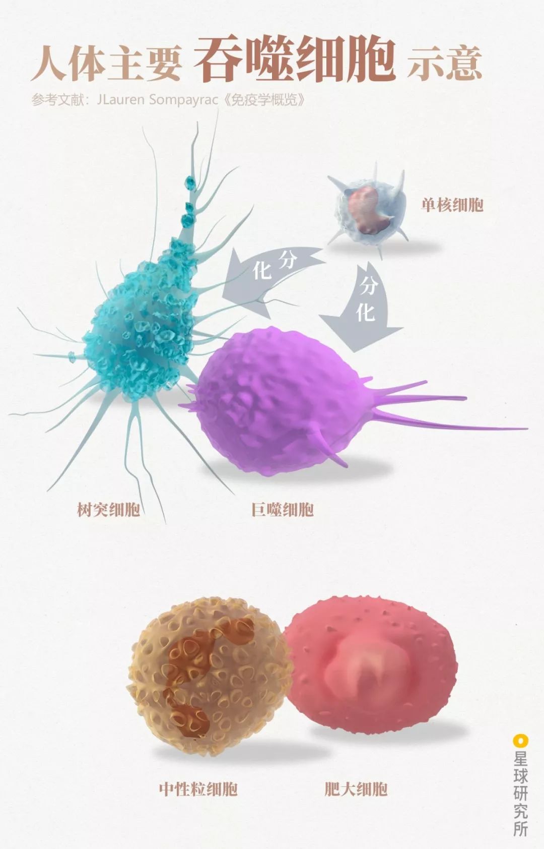 医生和病毒作战,我们如何对付病毒