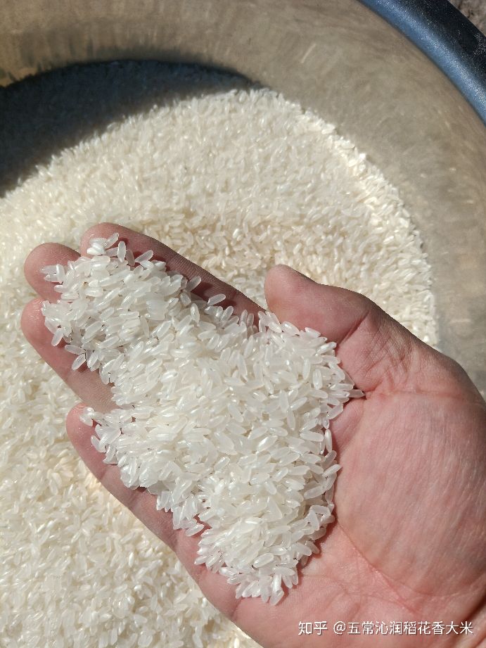 淘宝特价上面的五常大米真的假的,gbt19266假五常大米