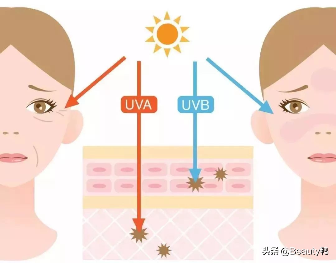 兰芝韩露防晒,兰芝雪纱防晒